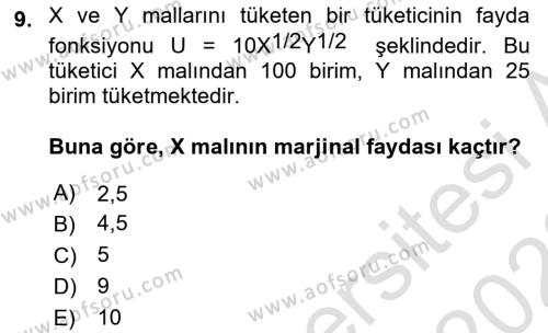 Matematiksel İktisat Dersi 2022 - 2023 Yılı (Final) Dönem Sonu Sınavı 9. Soru