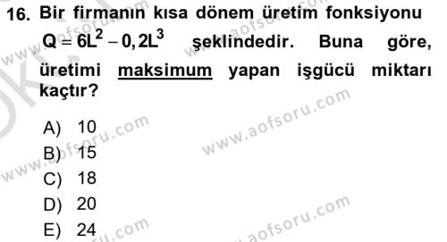 Matematiksel İktisat Dersi 2022 - 2023 Yılı Yaz Okulu Sınavı 16. Soru