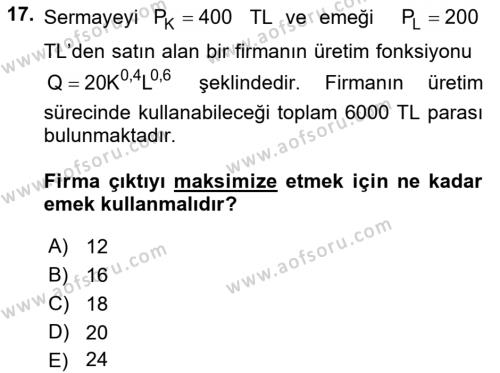 Matematiksel İktisat Dersi 2022 - 2023 Yılı Yaz Okulu Sınavı 17. Soru