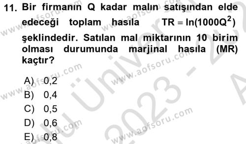 Matematiksel İktisat Dersi 2023 - 2024 Yılı (Vize) Ara Sınavı 11. Soru