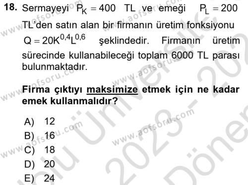 Matematiksel İktisat Dersi 2023 - 2024 Yılı (Final) Dönem Sonu Sınavı 18. Soru