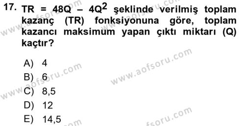 Matematiksel İktisat Dersi 2023 - 2024 Yılı Yaz Okulu Sınavı 17. Soru