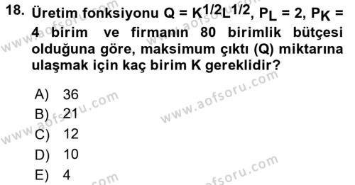 Matematiksel İktisat Dersi 2023 - 2024 Yılı Yaz Okulu Sınavı 18. Soru