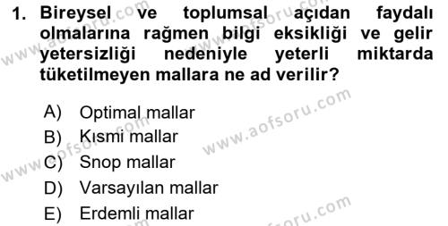 Kamu Ekonomisi 1 Dersi 2020 - 2021 Yılı Yaz Okulu Sınavı 1. Soru