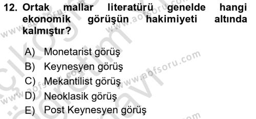 Kamu Ekonomisi 1 Dersi 2020 - 2021 Yılı Yaz Okulu Sınavı 12. Soru