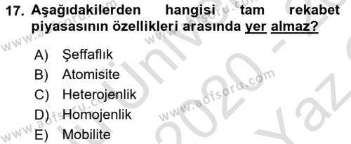 Kamu Ekonomisi 1 Dersi 2020 - 2021 Yılı Yaz Okulu Sınavı 17. Soru