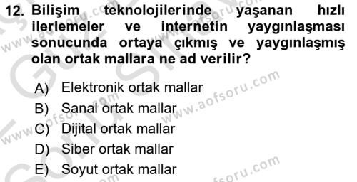 Kamu Ekonomisi 1 Dersi 2021 - 2022 Yılı (Final) Dönem Sonu Sınavı 12. Soru