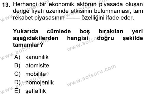 Kamu Ekonomisi 1 Dersi 2021 - 2022 Yılı (Final) Dönem Sonu Sınavı 13. Soru