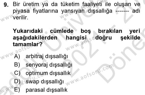 Kamu Ekonomisi 1 Dersi 2021 - 2022 Yılı (Final) Dönem Sonu Sınavı 9. Soru