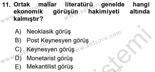 Kamu Ekonomisi 1 Dersi 2021 - 2022 Yılı Yaz Okulu Sınavı 11. Soru