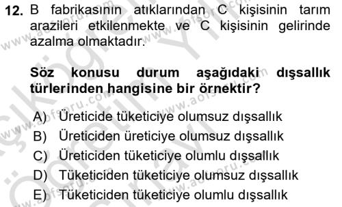 Kamu Ekonomisi 1 Dersi 2021 - 2022 Yılı Yaz Okulu Sınavı 12. Soru