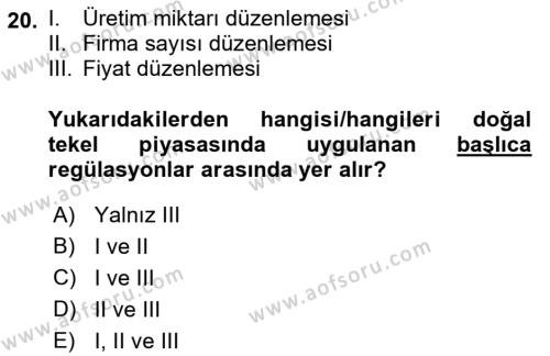 Kamu Ekonomisi 1 Dersi 2021 - 2022 Yılı Yaz Okulu Sınavı 20. Soru