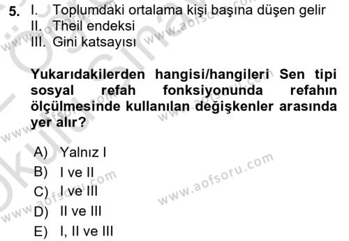 Kamu Ekonomisi 1 Dersi 2021 - 2022 Yılı Yaz Okulu Sınavı 5. Soru