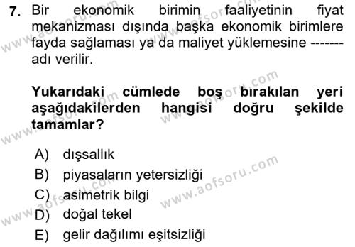 Kamu Ekonomisi 1 Dersi 2021 - 2022 Yılı Yaz Okulu Sınavı 7. Soru