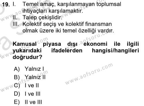 Kamu Ekonomisi 1 Dersi 2022 - 2023 Yılı (Vize) Ara Sınavı 19. Soru