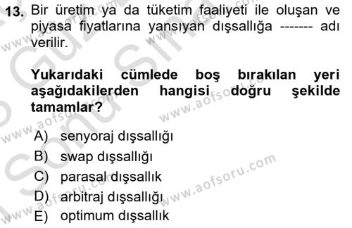 Kamu Ekonomisi 1 Dersi 2022 - 2023 Yılı (Final) Dönem Sonu Sınavı 13. Soru