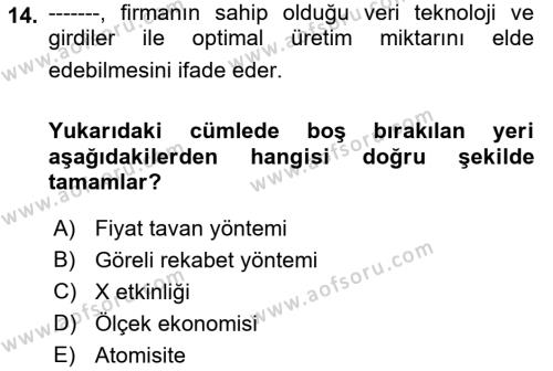 Kamu Ekonomisi 1 Dersi 2022 - 2023 Yılı Yaz Okulu Sınavı 14. Soru