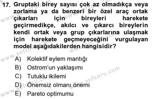 Kamu Ekonomisi 1 Dersi 2022 - 2023 Yılı Yaz Okulu Sınavı 17. Soru