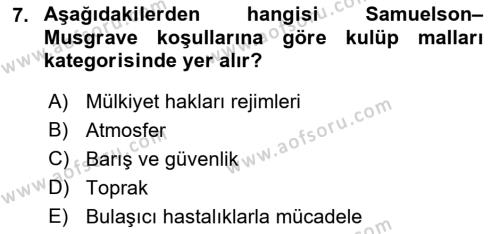 Kamu Ekonomisi 1 Dersi 2022 - 2023 Yılı Yaz Okulu Sınavı 7. Soru