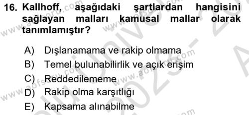 Kamu Ekonomisi 1 Dersi 2023 - 2024 Yılı (Vize) Ara Sınavı 16. Soru