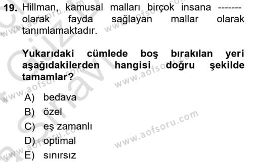 Kamu Ekonomisi 1 Dersi 2023 - 2024 Yılı (Vize) Ara Sınavı 19. Soru