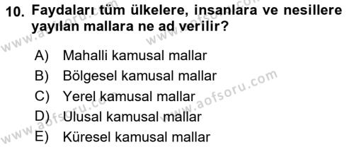 Kamu Ekonomisi 1 Dersi 2023 - 2024 Yılı Yaz Okulu Sınavı 10. Soru