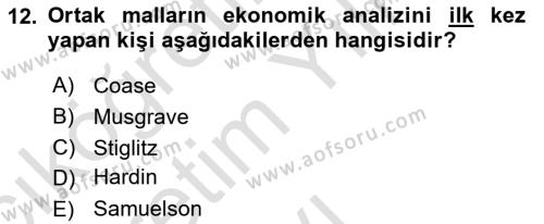 Kamu Ekonomisi 1 Dersi 2023 - 2024 Yılı Yaz Okulu Sınavı 12. Soru