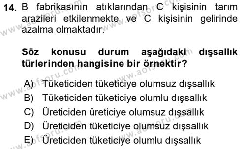 Kamu Ekonomisi 1 Dersi 2023 - 2024 Yılı Yaz Okulu Sınavı 14. Soru