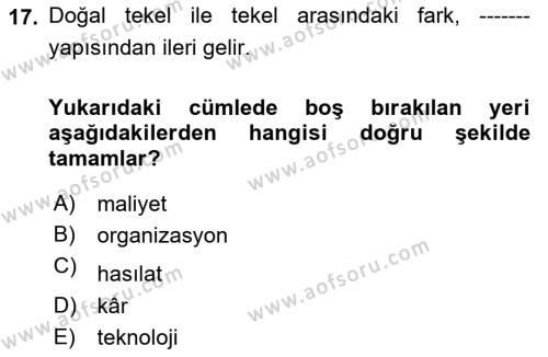 Kamu Ekonomisi 1 Dersi 2023 - 2024 Yılı Yaz Okulu Sınavı 17. Soru