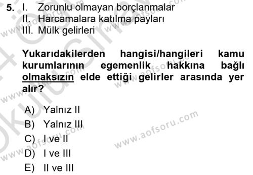 Kamu Ekonomisi 1 Dersi 2023 - 2024 Yılı Yaz Okulu Sınavı 5. Soru