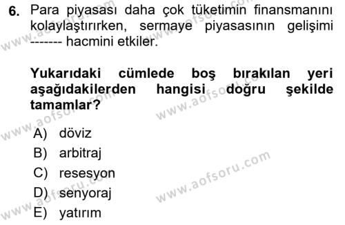 Kamu Ekonomisi 1 Dersi 2023 - 2024 Yılı Yaz Okulu Sınavı 6. Soru