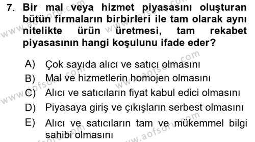 Kamu Ekonomisi 1 Dersi 2023 - 2024 Yılı Yaz Okulu Sınavı 7. Soru