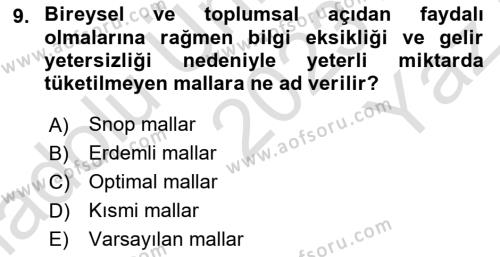 Kamu Ekonomisi 1 Dersi 2023 - 2024 Yılı Yaz Okulu Sınavı 9. Soru