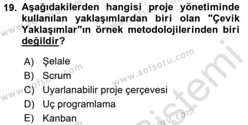 Sosyal Bilimlerde Proje Yönetimi Dersi 2021 - 2022 Yılı (Vize) Ara Sınavı 19. Soru