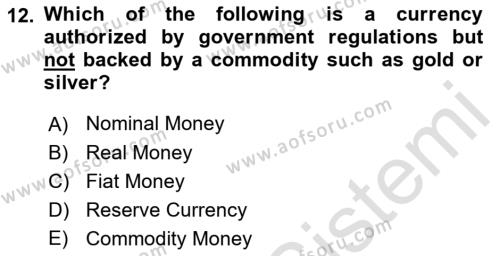 Monetary Theory and Policy Dersi 2023 - 2024 Yılı (Vize) Ara Sınavı 12. Soru