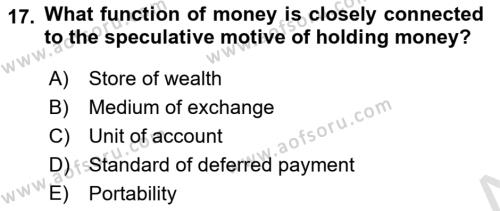 Monetary Theory and Policy Dersi 2023 - 2024 Yılı (Vize) Ara Sınavı 17. Soru