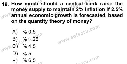 Monetary Theory and Policy Dersi 2023 - 2024 Yılı (Vize) Ara Sınavı 19. Soru