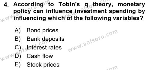 Monetary Theory and Policy Dersi 2023 - 2024 Yılı (Vize) Ara Sınavı 4. Soru