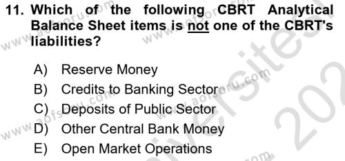 Monetary Theory and Policy Dersi 2023 - 2024 Yılı (Final) Dönem Sonu Sınavı 11. Soru