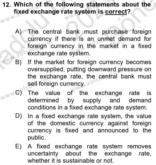 Monetary Theory and Policy Dersi 2023 - 2024 Yılı (Final) Dönem Sonu Sınavı 12. Soru