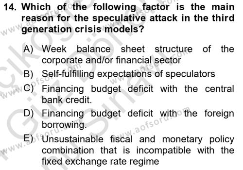 Monetary Theory and Policy Dersi 2023 - 2024 Yılı (Final) Dönem Sonu Sınavı 14. Soru