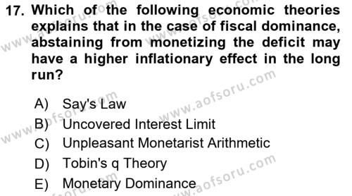 Monetary Theory and Policy Dersi 2023 - 2024 Yılı (Final) Dönem Sonu Sınavı 17. Soru