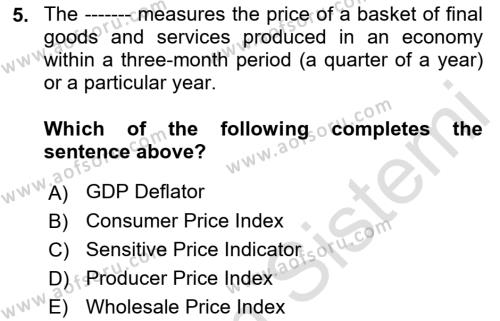 Monetary Theory and Policy Dersi 2023 - 2024 Yılı (Final) Dönem Sonu Sınavı 5. Soru