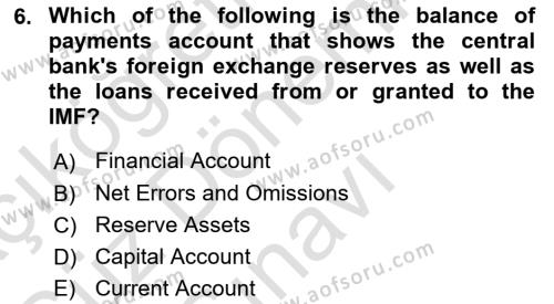 Monetary Theory and Policy Dersi 2023 - 2024 Yılı (Final) Dönem Sonu Sınavı 6. Soru