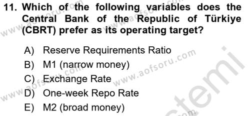 Monetary Theory and Policy Dersi 2023 - 2024 Yılı Yaz Okulu Sınavı 11. Soru