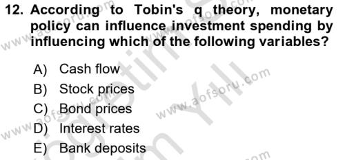 Monetary Theory and Policy Dersi 2023 - 2024 Yılı Yaz Okulu Sınavı 12. Soru