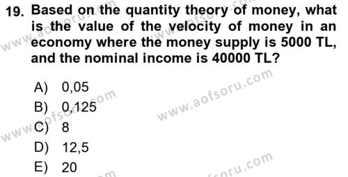 Monetary Theory and Policy Dersi 2023 - 2024 Yılı Yaz Okulu Sınavı 19. Soru