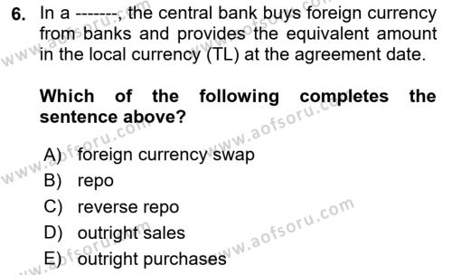 Monetary Theory and Policy Dersi 2023 - 2024 Yılı Yaz Okulu Sınavı 6. Soru