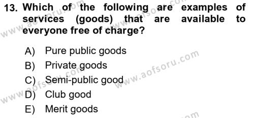 Public Finance Dersi 2023 - 2024 Yılı (Vize) Ara Sınavı 13. Soru