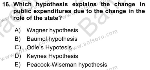 Public Finance Dersi 2023 - 2024 Yılı (Vize) Ara Sınavı 16. Soru